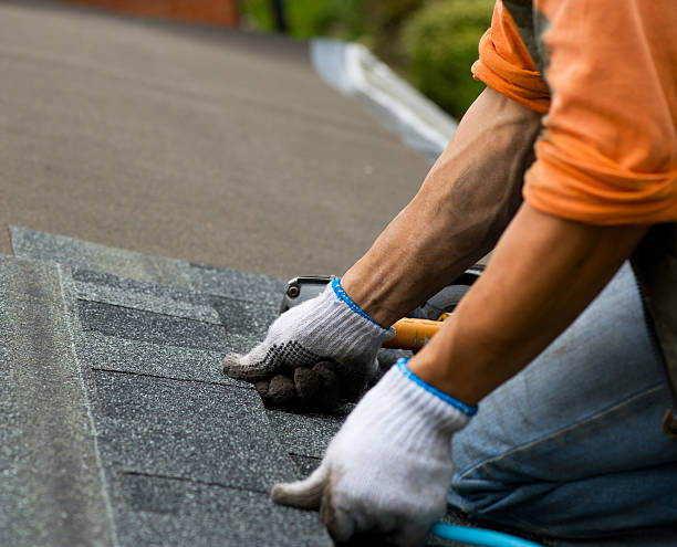 Best Storm Damage Roof Repair  in Prescott, AR